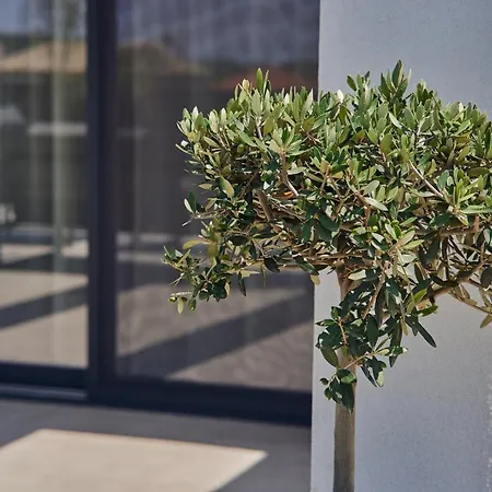 Mouzaki's Stone Villa *