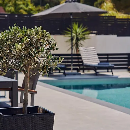 Mouzaki's Stone * Volímai